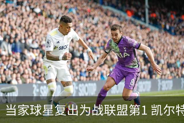 当家球星复出为战联盟第1 凯尔特人大胜恐不易