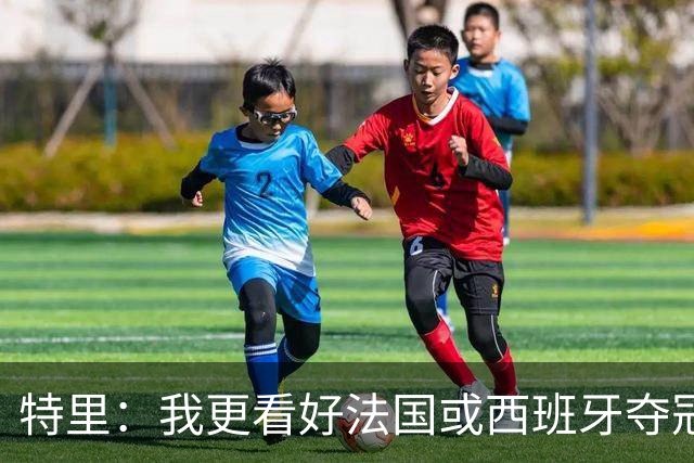 特里：我更看好法国或西班牙夺冠 英格兰队应带上马奎尔&帕尔默